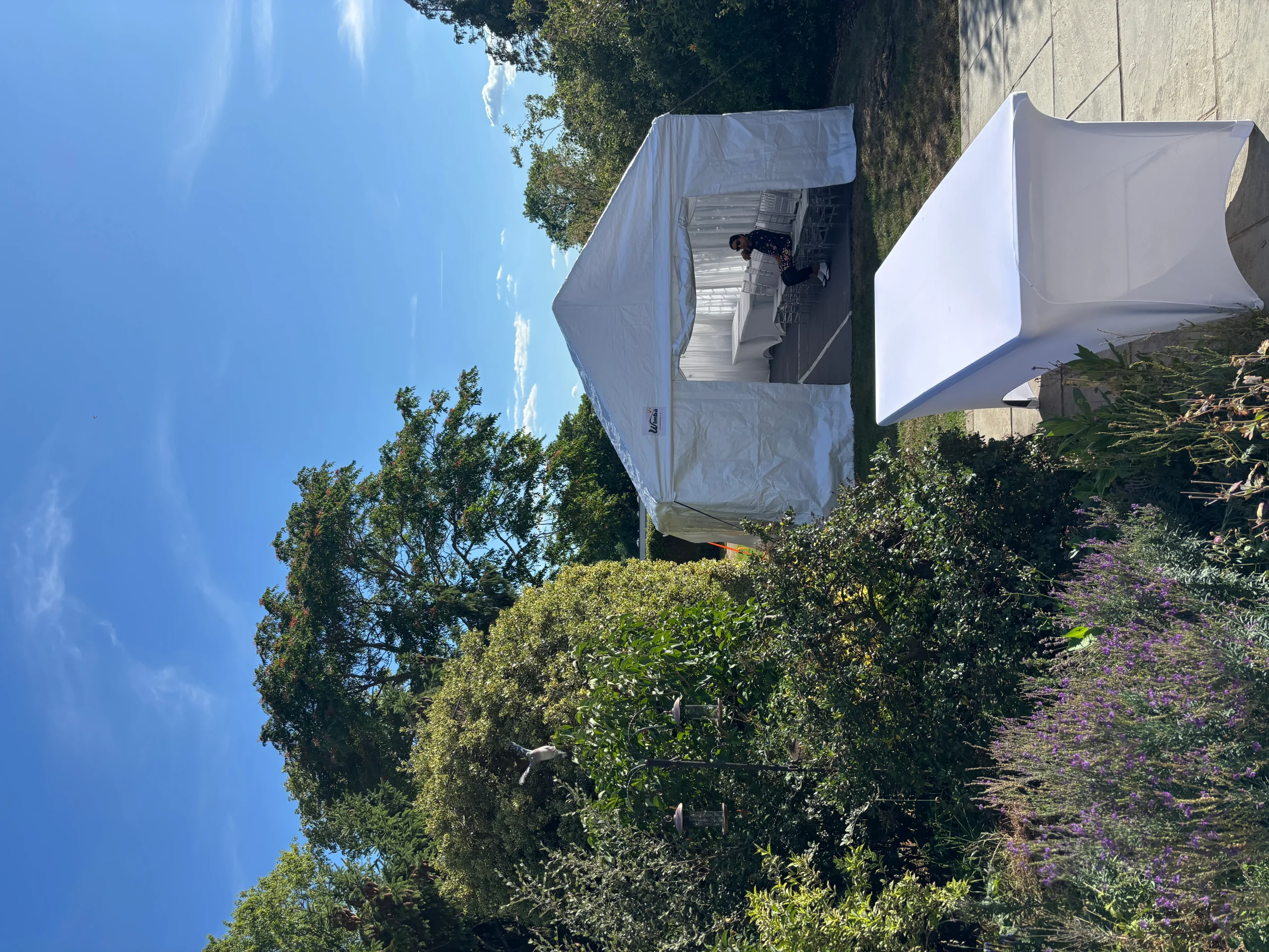 20250710_162303602_iOS