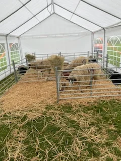 EF70FFA8-A141-4AC0-9C09-5DC06F1F44D1